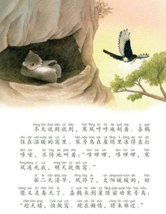 课本上的郝汉鸟真的不是鸟 是一只飞鼠 绰号雪山飞狐